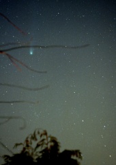 19960328 Comet Hyakutake